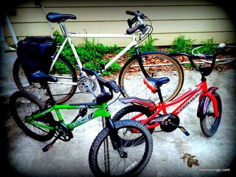 Picture of adult bike for commuting and kid's bikes