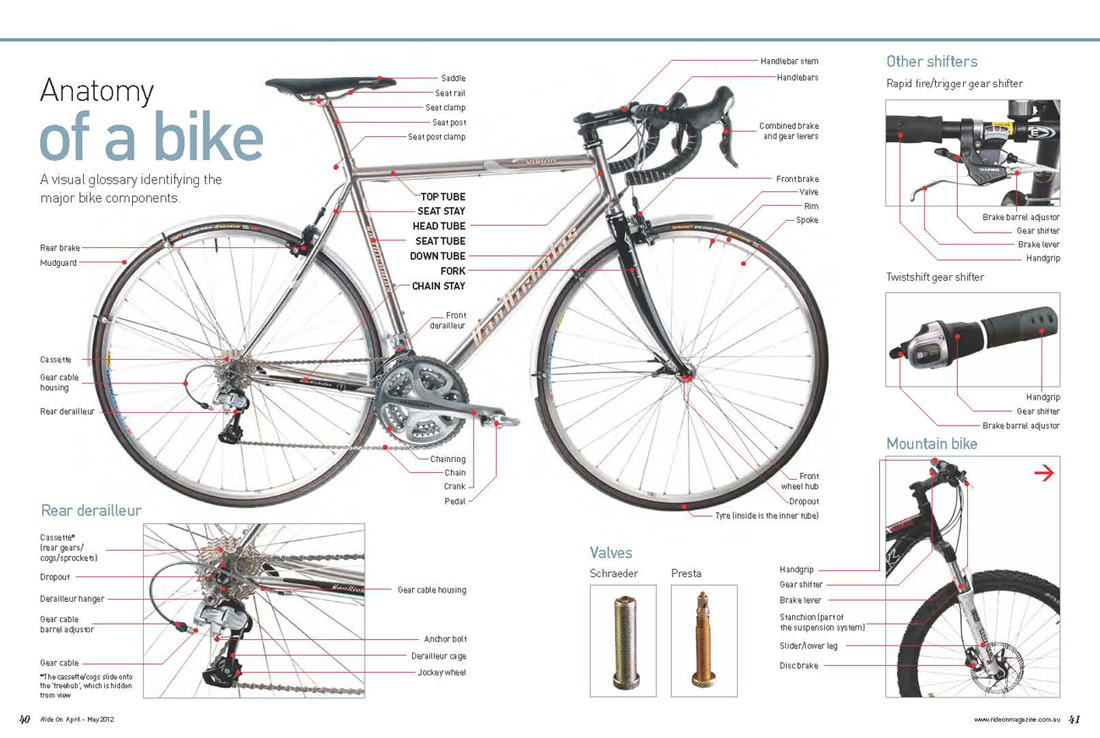 Picture anatomy of a bike