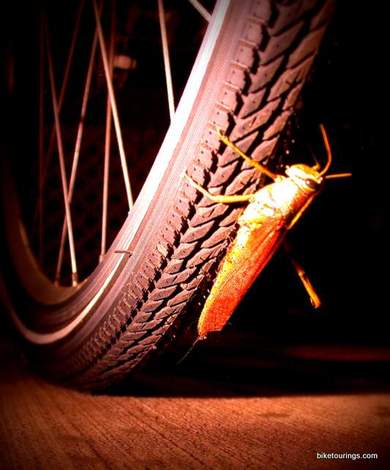 Picture of tread on tire for bike touring or touring bike with grasshopper