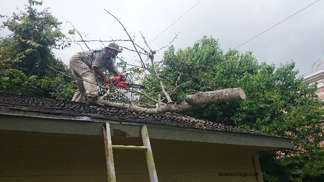 Picture of cutting dead tree on roof with chainsaw