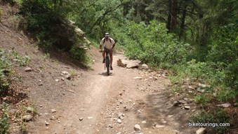 Picture of mountain bike for touring on gravel road