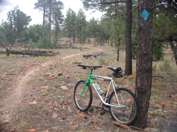 Picture of mountain bike trails at tall timbers park, overgaard, az