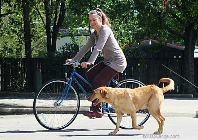Picture of woman riding bicycle for commuting with dog following